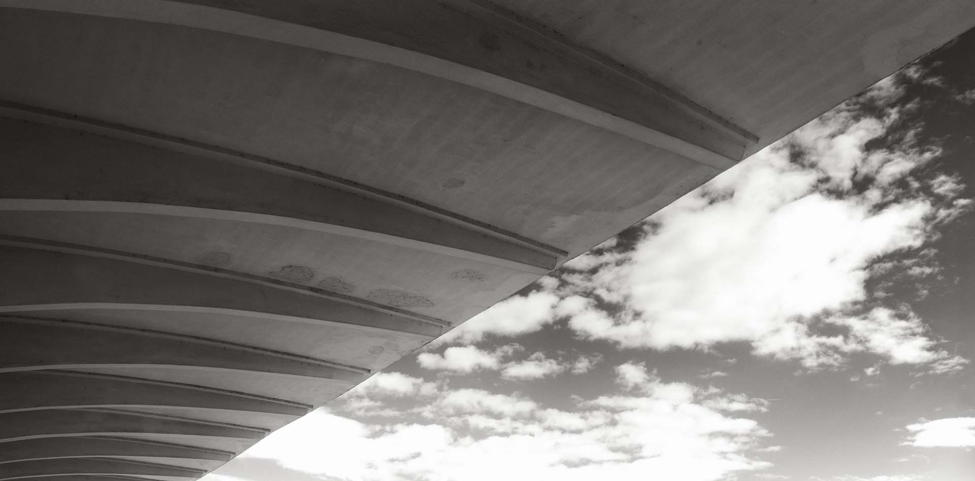 stadio artemio franchi di pier luigi nervi